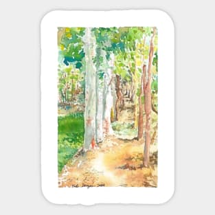 Forest Path on a Farm in Laos Sticker